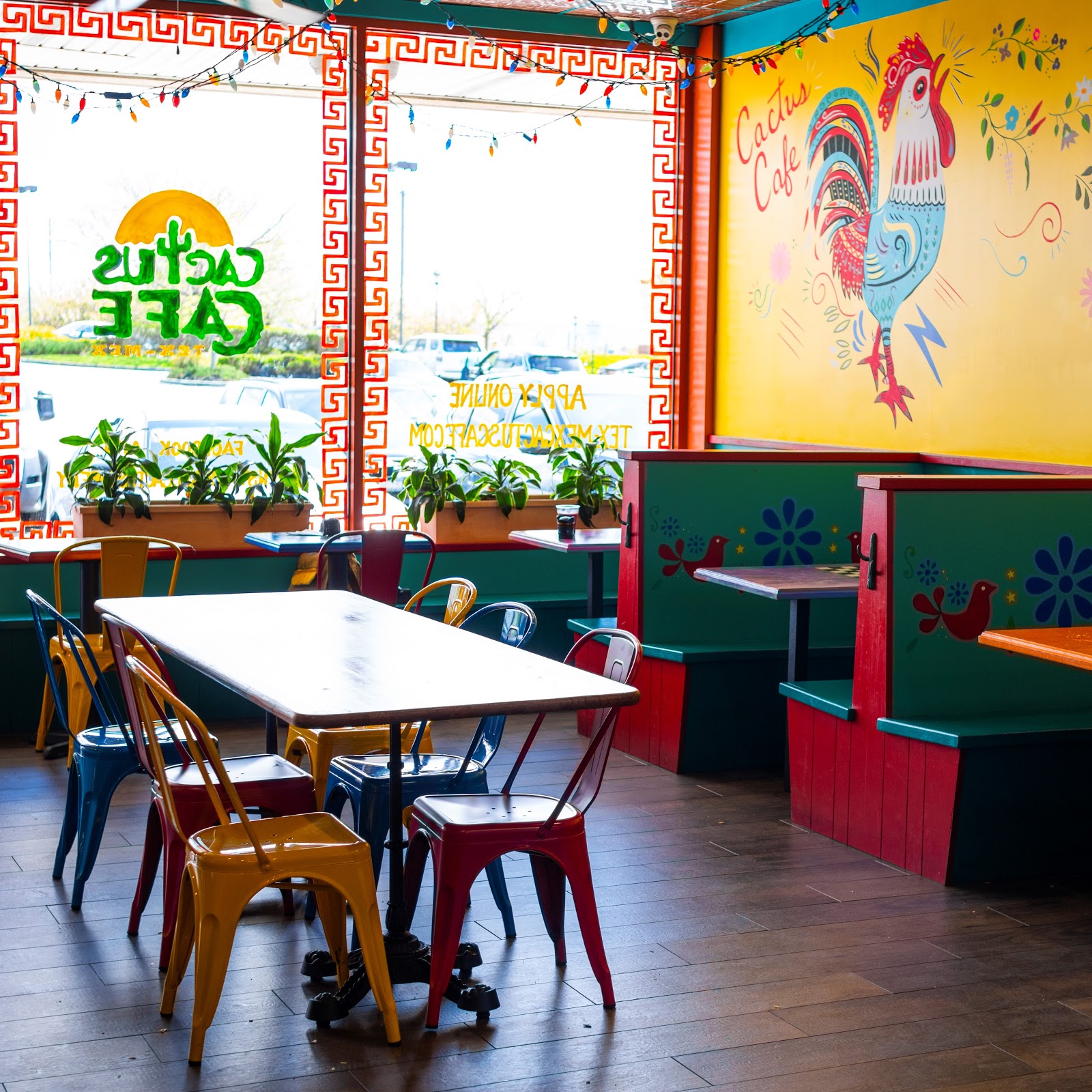 Cactus Cafe, Port Washington