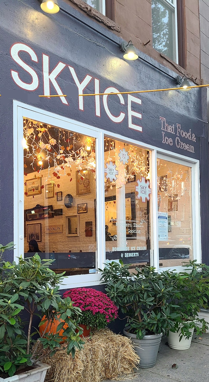 SkyIce Thai Food & Ice Cream