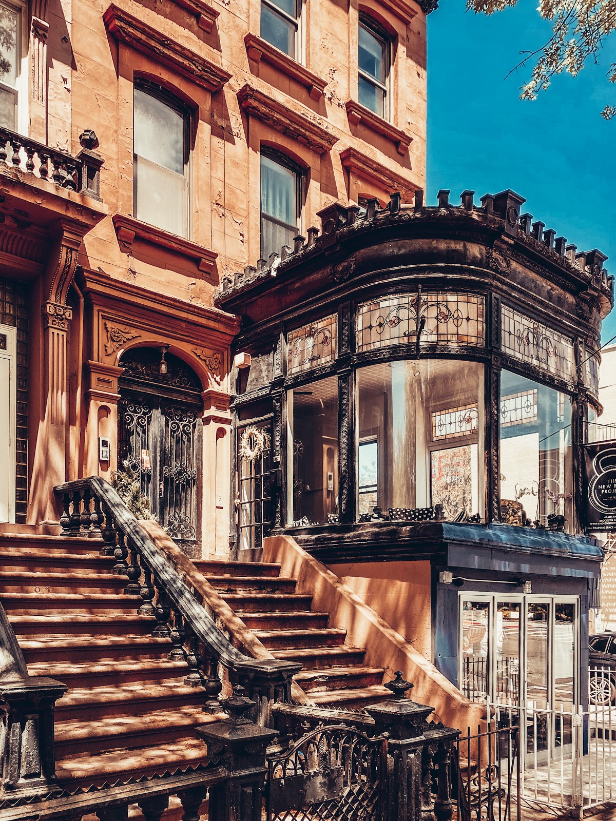 The New Body Project